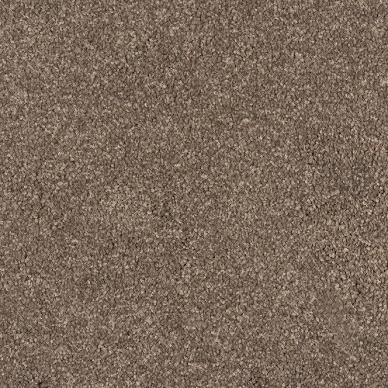 Cologne - 100% Solution Dyed Nylon