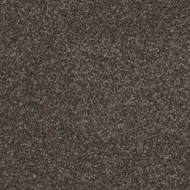 Cologne - 100% Solution Dyed Nylon