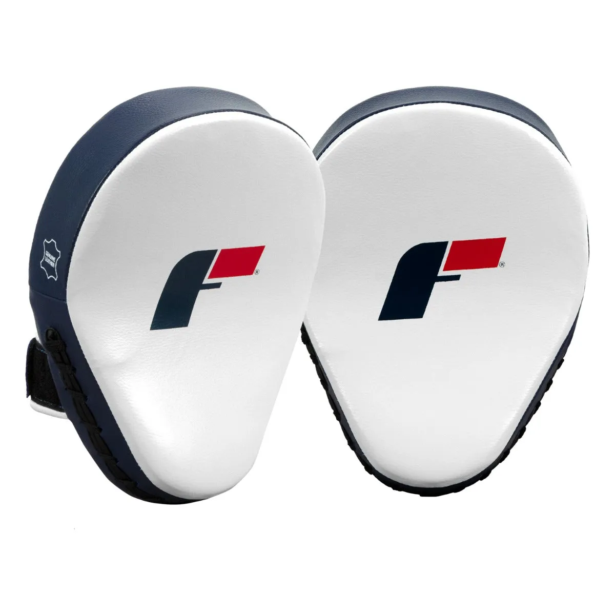 Fighting Force Leather Punch Mitts
