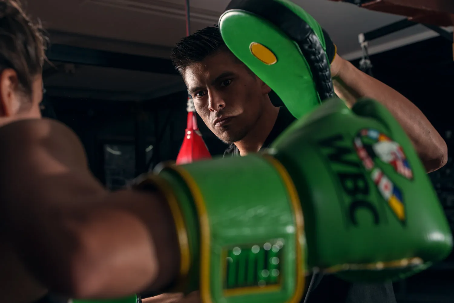 WBC by TITLE Boxing Focus Mitts
