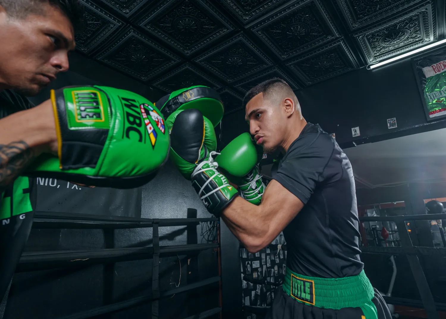 WBC by TITLE Boxing Focus Mitts
